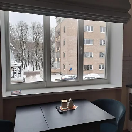 Vyduno Apartamentai 11