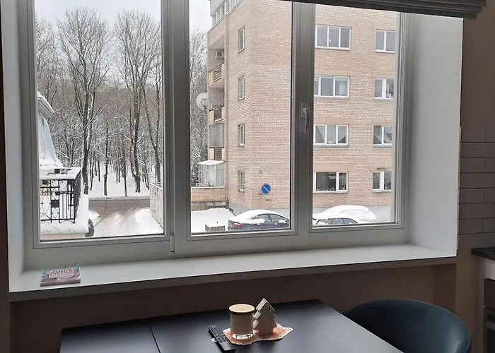 Vyduno Apartamentai 11